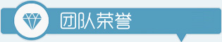 团队荣誉